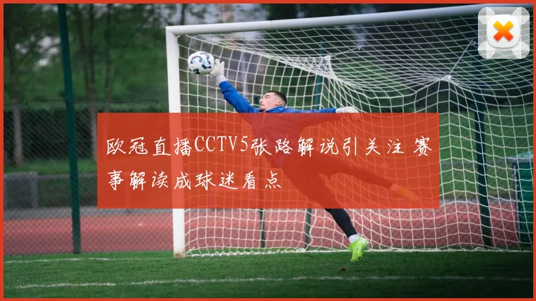 欧冠直播CCTV5张路解说引关注 赛事解读成球迷看点