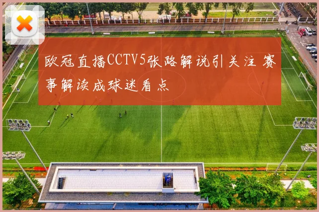 欧冠直播CCTV5张路解说引关注 赛事解读成球迷看点