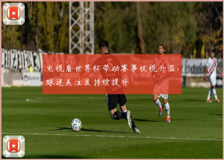 电视看世界杯带动赛事收视升温，球迷关注度持续提升