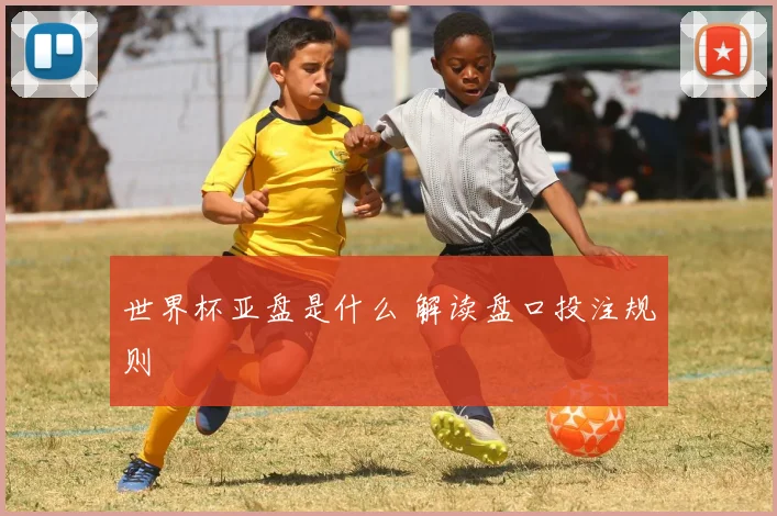 世界杯亚盘是什么 解读盘口投注规则