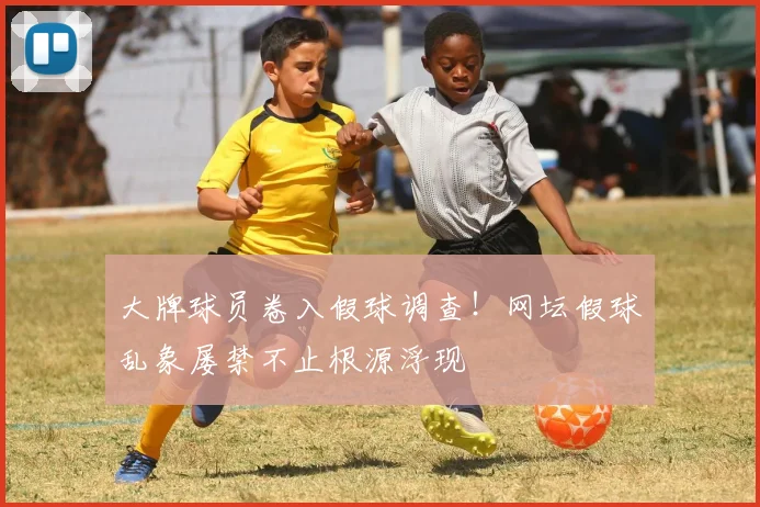 大牌球员卷入假球调查！网坛假球乱象屡禁不止根源浮现